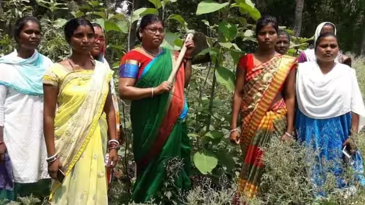 Jharkhand News: Seraikela’s ‘Lady Tarzan’ Chami Murmu  to Receive Padma Shri for Planting Over Thirty Lakh Saplings in 30 Years