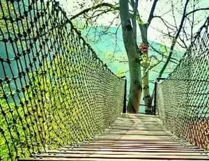 Canopy walk to start in Dalma from this week: 15 feet high wooden bridge, 5 people can climb together