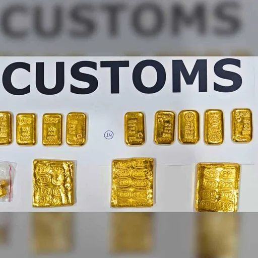Andhra Pradesh Busts Gold Smuggling Ring, Seizes Rs 14.37 Crore Worth