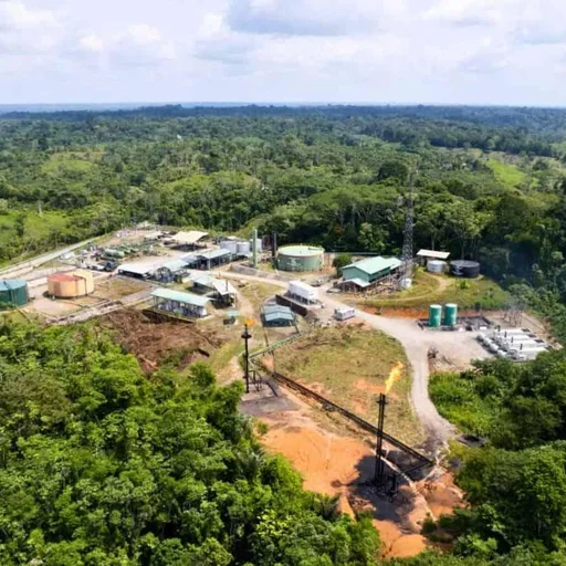 Assam Sanctuary Faces Oil Exploration Threat Despite Wildlife Concerns