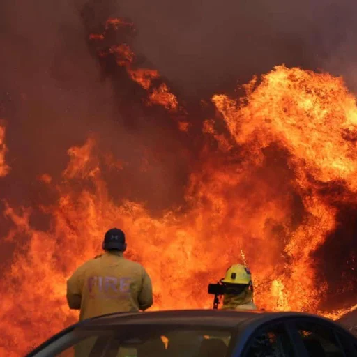 California Wildfires Rage 24 Dead Dozens Missing a