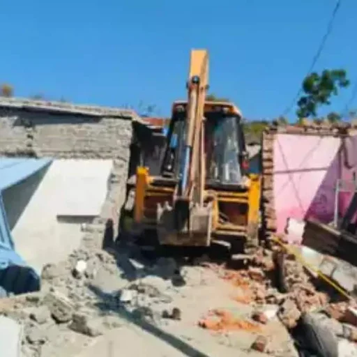 Chhattisgarh Demolishes 40+ Illegal Homes on Forest Land, Displacing 440