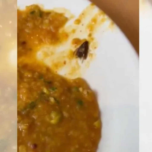 Cockroach Found in Sambar Rice at Hyderabad Hotel Sparks Food Safety Concerns