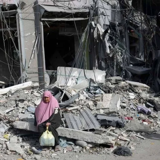 Gaza Needs Urgent Support for Shelters Private Sec