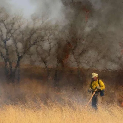 Global Temperatures Shatter Record Exceeding 15C T