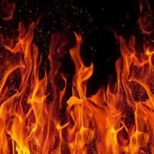 Hyderabad Businesses Engulfed in Early Morning Fire