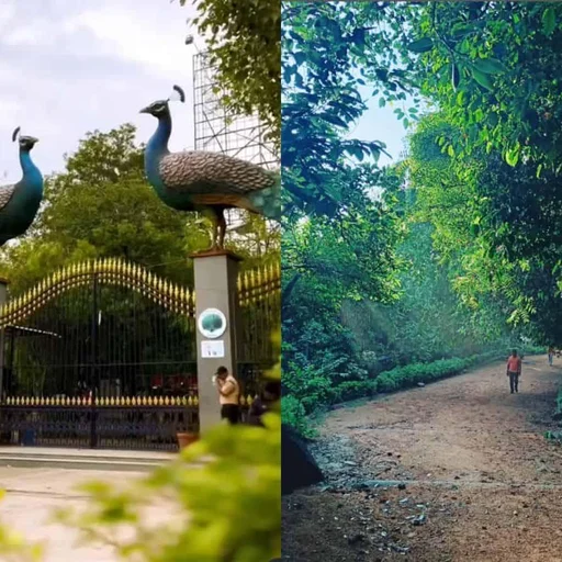 Hyderabad’s 390-Acre KBR Park Offers Urban Oasis, Nature Escape