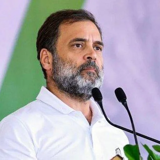 Karnataka Court Halts Defamation Case Against Rahul Gandhi