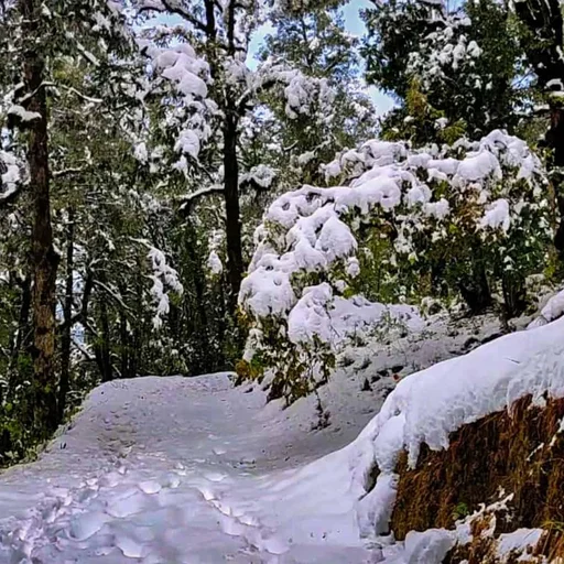 Kashmir Gets Brief Warmth Before Rain, Snow Return This Week