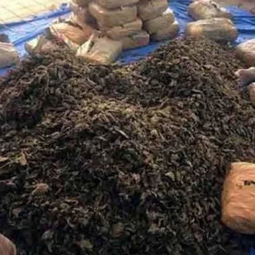 Madhya Pradesh and Chhattisgarh Women Busted Smuggling Ganja at Secunderabad Station