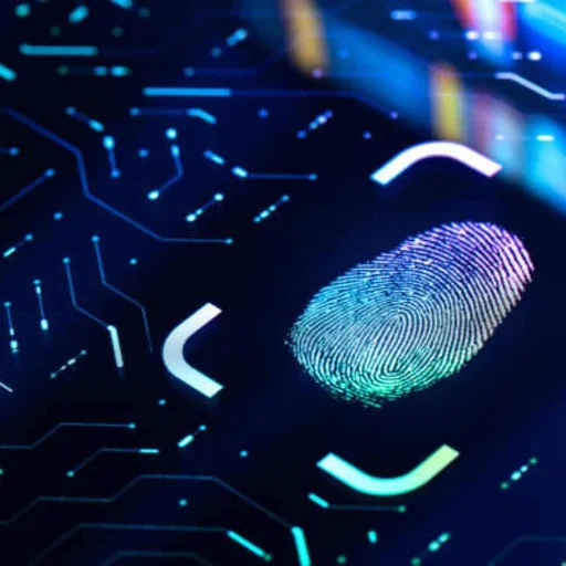 Maldives Launches Fingerprint Program to Send Undocumented Workers Home