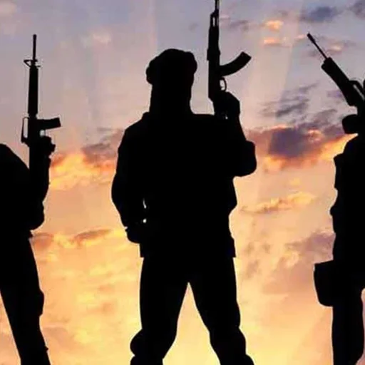 Odisha-Chhattisgarh Border Gunfight Kills 12 Maoists, Total Reaches 14