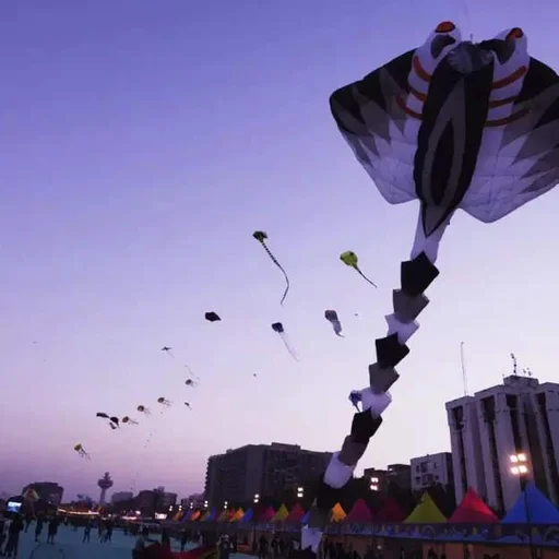Pakistan Bans Kite Flying, One-Wheeling, and Celebratory Gunfire, Citing Religious Law