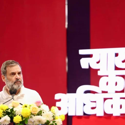 Rahul Gandhi Alleges Power Grab by Business and RS