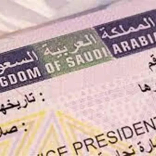 Saudi Arabia Mandates Qualification Checks for All Indian Work Visa Applicants