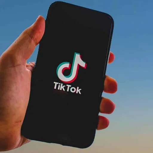 Saudi Princes Firm Eyes TikTok Investment if Musk