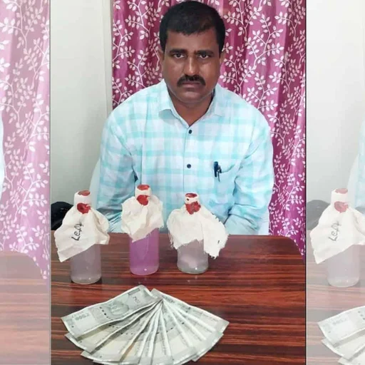 Telangana Revenue Officer Arrested for Taking Bribe in Welfare Scheme Case