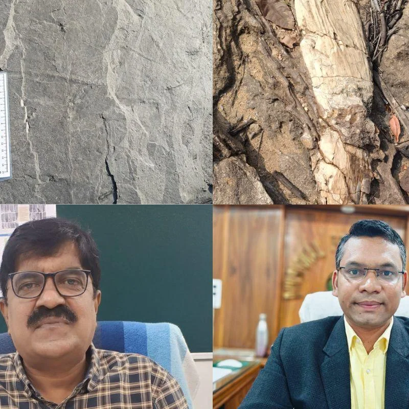 Jharkhand Fossil Find 280MillionYearOld Leaves Une