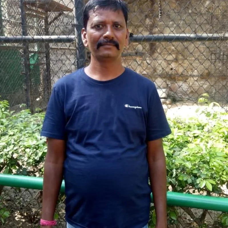 Jharkhand Man Jailed After Illegal Gambling Fuelled Cockfight Violence, Injuring 3