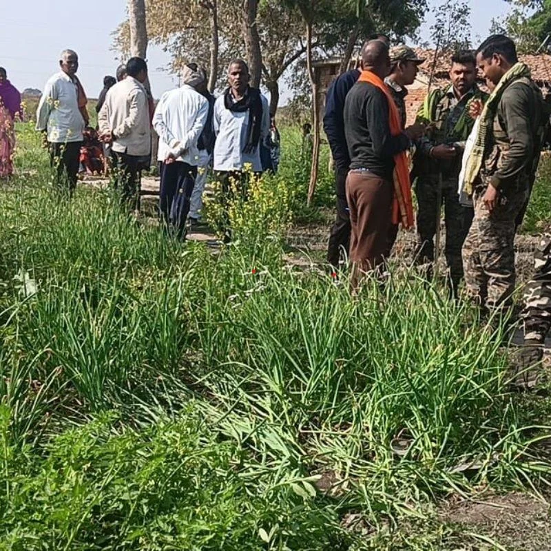 Jharkhand Murder: Woman Found Strangled in Palamu Garlic Field, 2 Detained