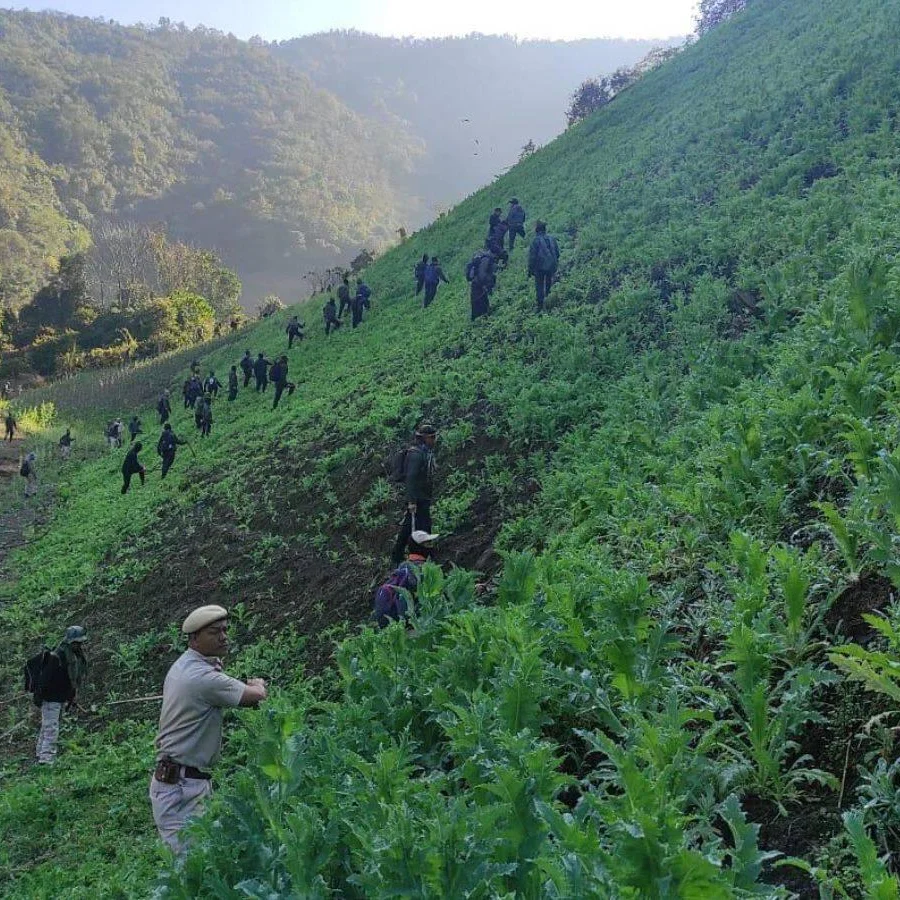 Manipur Destroys 25 Acres of Poppy Fields in Lates